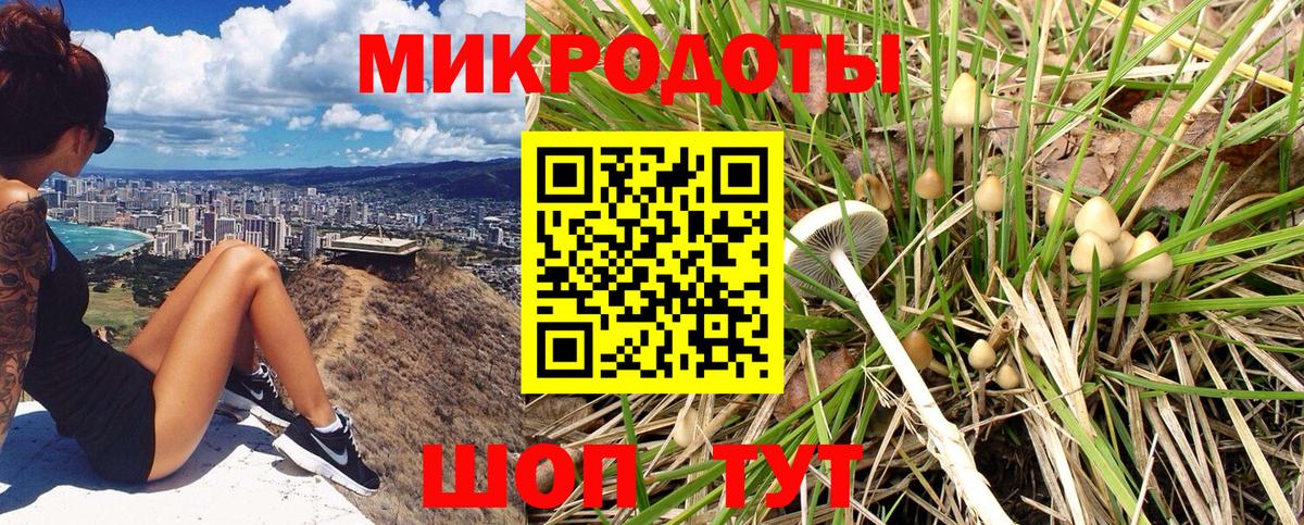 Псилоцибиновые грибы мухоморы  Вход с VPN  Майкоп  Псилоцибиновые грибы мицелий 